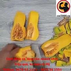 Tăng 6kg cân nặng với bí đỏ trong vòng 1 tháng