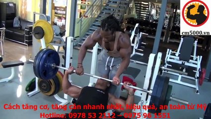 Hướng dẫn tập cơ lưng và ngực hiệu quả