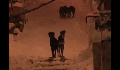 Sabah işe giden vatandaşların zor anları