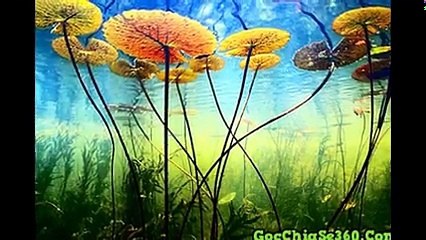 Những hình ảnh thiên nhiên đẹp nhất trên thế giới