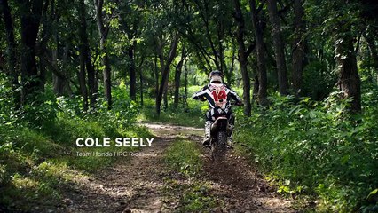 'The Cole Seely Ridgeline' - MY2017 Ridgeline AWD RT  -30-2pdFsenn8dU