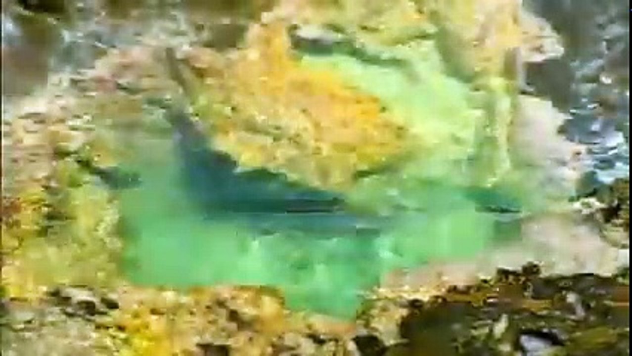 Video top 10 bãi biển đẹp nhất hành tinh-  Brazil