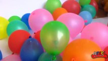 Balloon toys in a box | balloon toys boom boom videos | putting toys into balloon videos