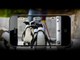 TechnoBuffalo - Rumor Round Up: Photo Revolution And More iPhone 5 Rumors(!)