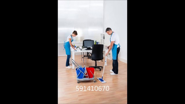Juniors Cleaning Services - (912) 230-5424