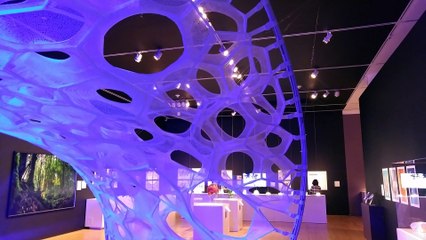 San Jose Museum of Art 2017