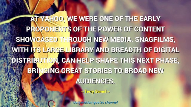 Terry Semel Quotes
