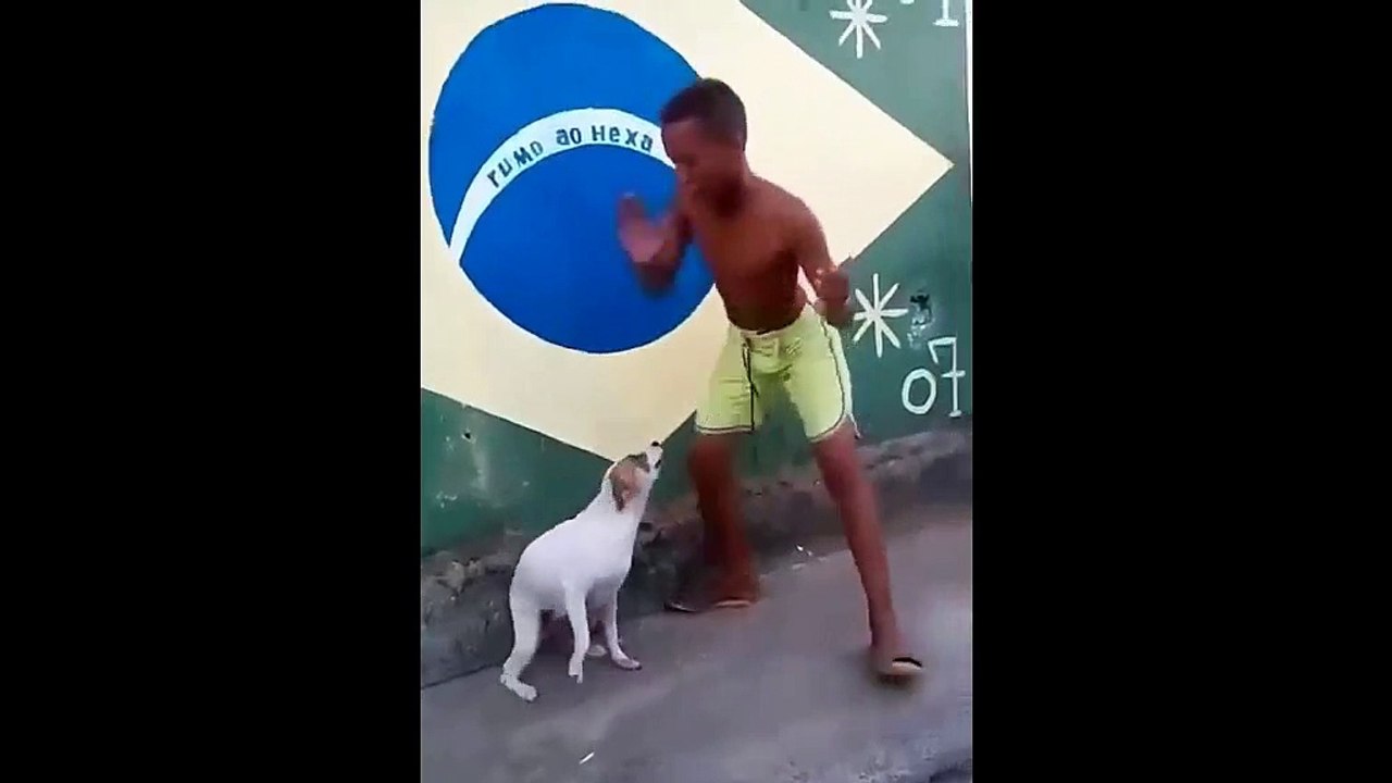 Due Amici che ballano a Ritmo di Musica...