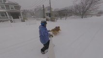 Se faire tracter en snowboard par ses deux chiens dans la neige