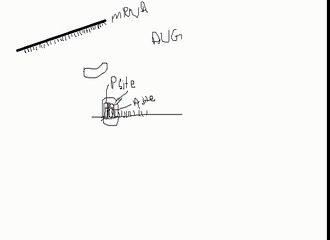 Explanation and illustration of process of translation