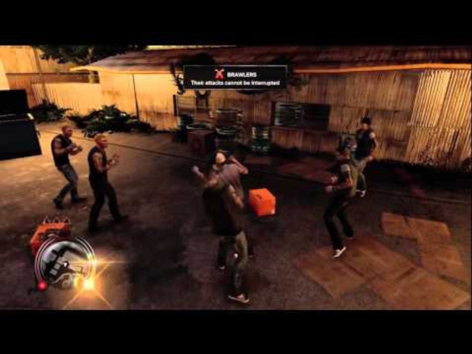 We Play Sleeping Dogs