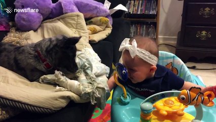 Six-month-old baby plays with puppy
