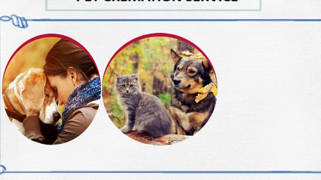 Cornwall Pet Cremation Services