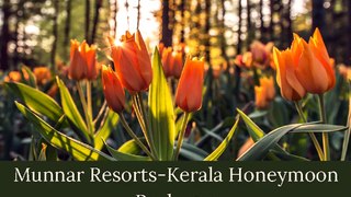 Kerala Honeymoon Packages-Munnar Resorts-Abad Hotels