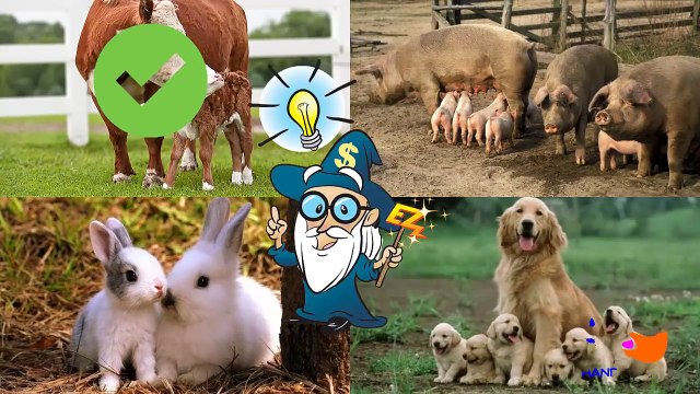 Learn Domestic Animals Sounds For Children Best Way To Learn Animals Names For Kids And Toddlers