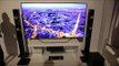 LG 4K and OLED TV First Impressions (CES 2013)