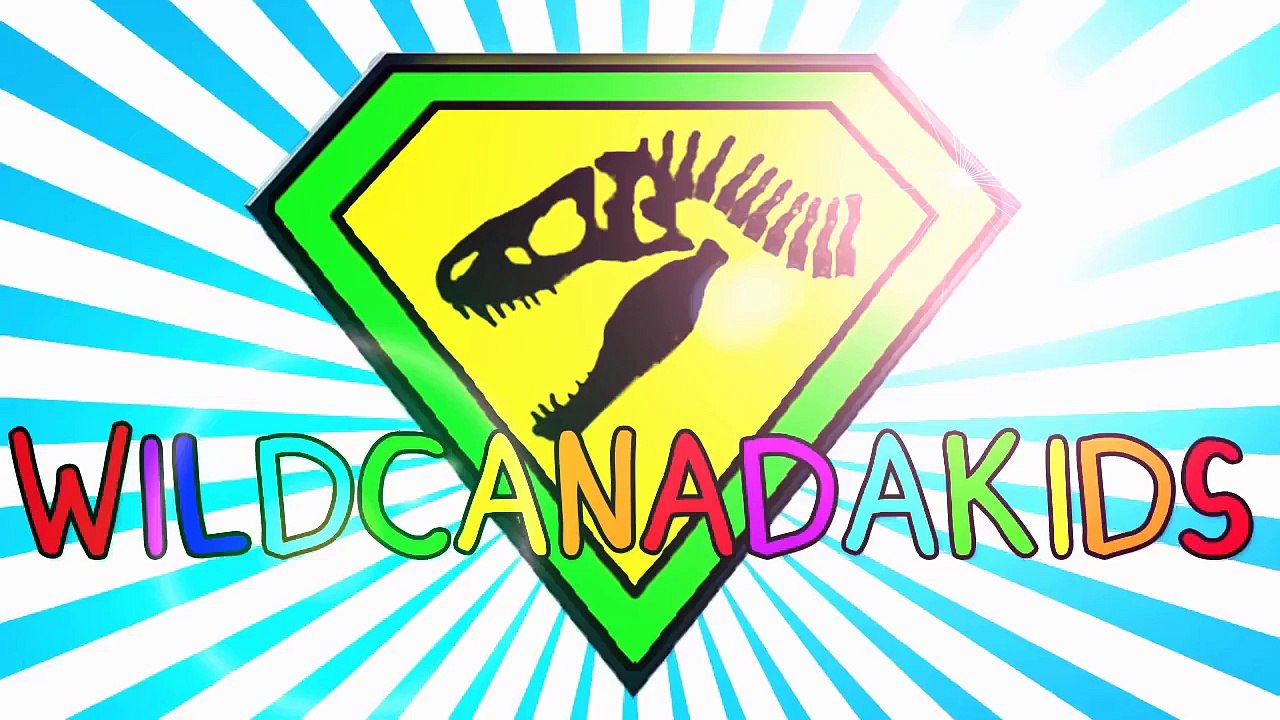 Childrens Superhero Cartoons   Puzzles for Children! Learning Games for Kids! Animal Cartoon