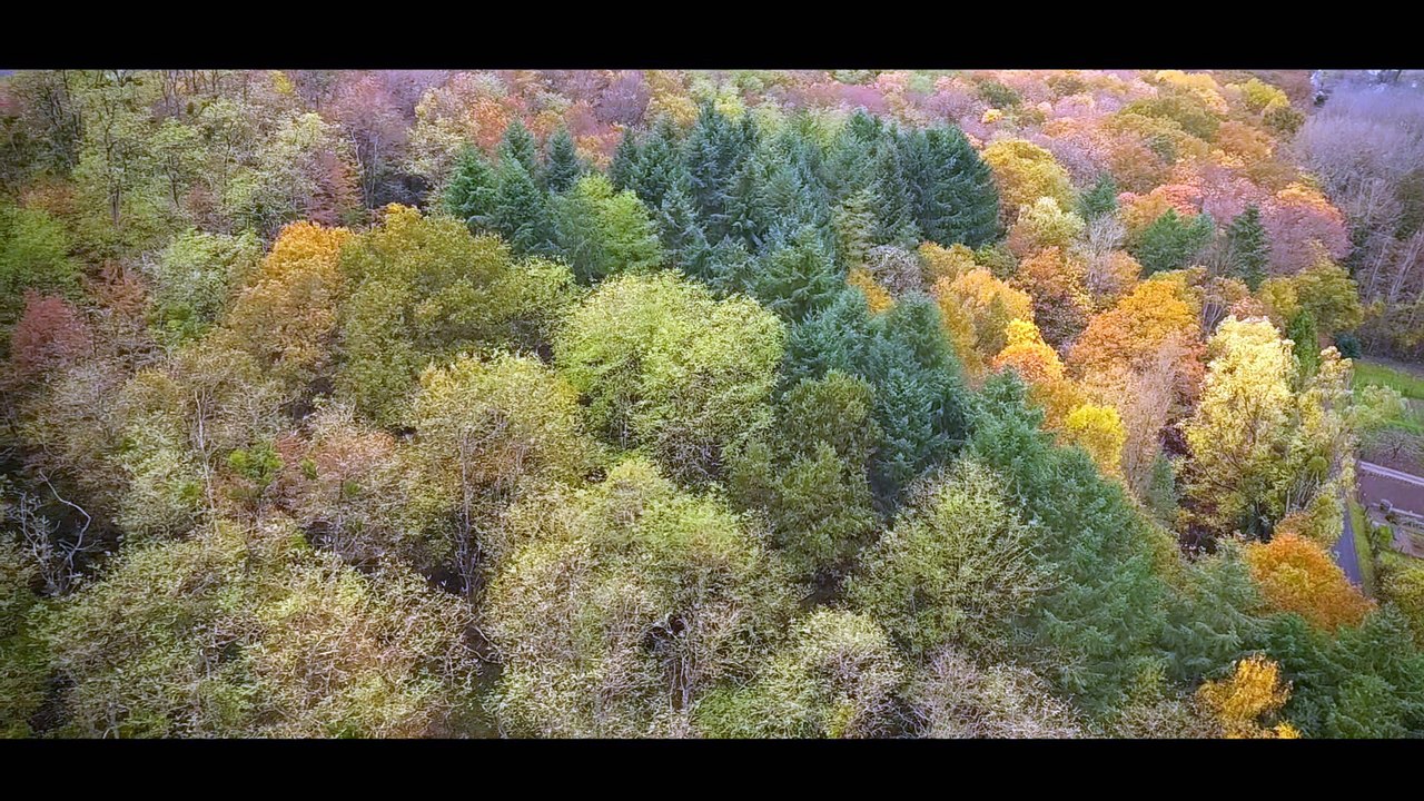 Veigné "Un cadre de vie, couleurs d'Automne"