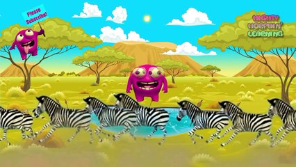 Kids Learn Jungle Animals   African Wildlife Comes Alive   Mighty Morphin' Learning