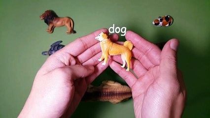 Learn animals names and animal sounds for kids with TOMY Ania Animal part 4   アニア