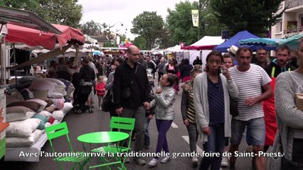 Foire d'automne de St-Priest - 2016