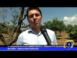 Maltempo | Agricoltura in ginocchio: intervista a Gianni Cantele, presidente Coldiretti Puglia