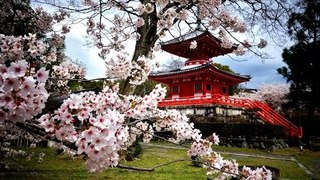 Japanese Instrumental Music Traditional | Relaxing Japanese Music - Japan Anime Music