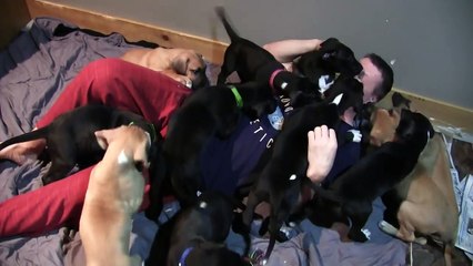 Man Survives Attack by 15 Puppies!-CSmkv1gyDtg