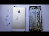 Gold iPhone 5S and iPhone 5C Durability