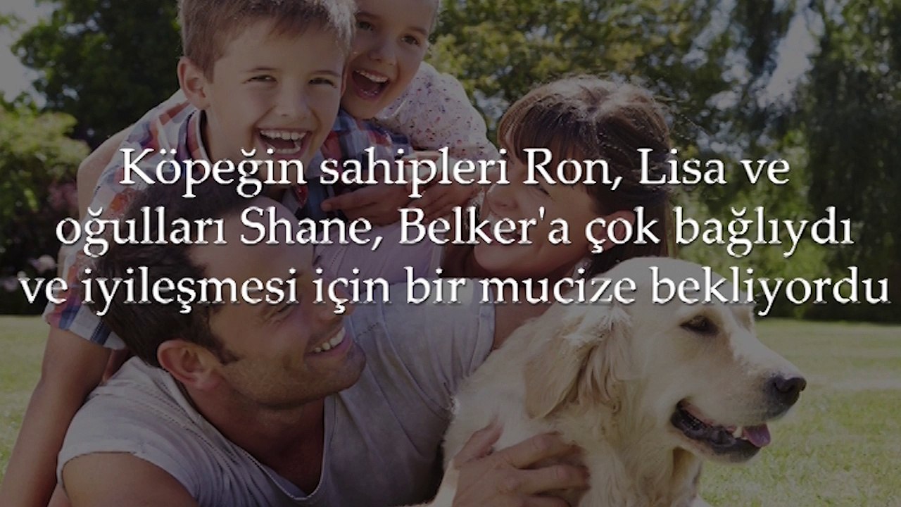 Belker (2)