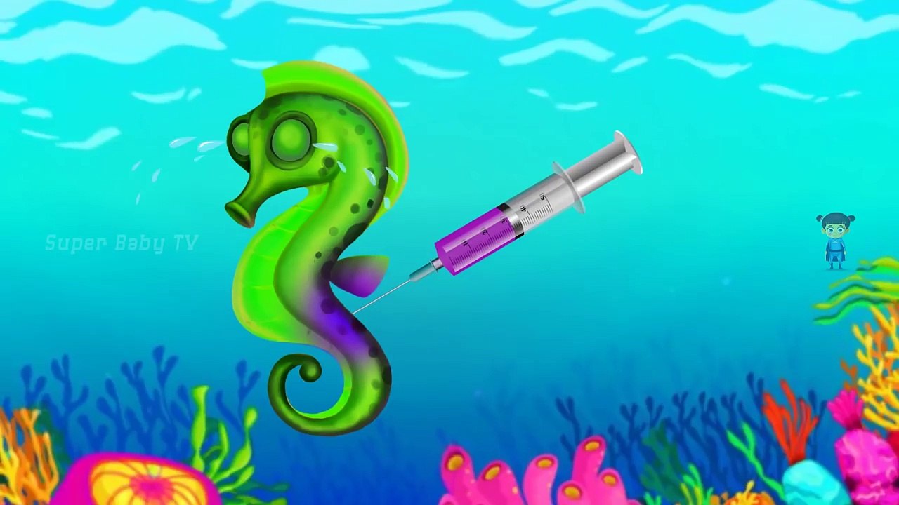 Learning Colors Injection Seahorse | Colors for Children Kids to Learn