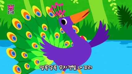 동물 결혼식 _ 동물동요 _ 핑크퐁! 인기동요-makisXwMU8c