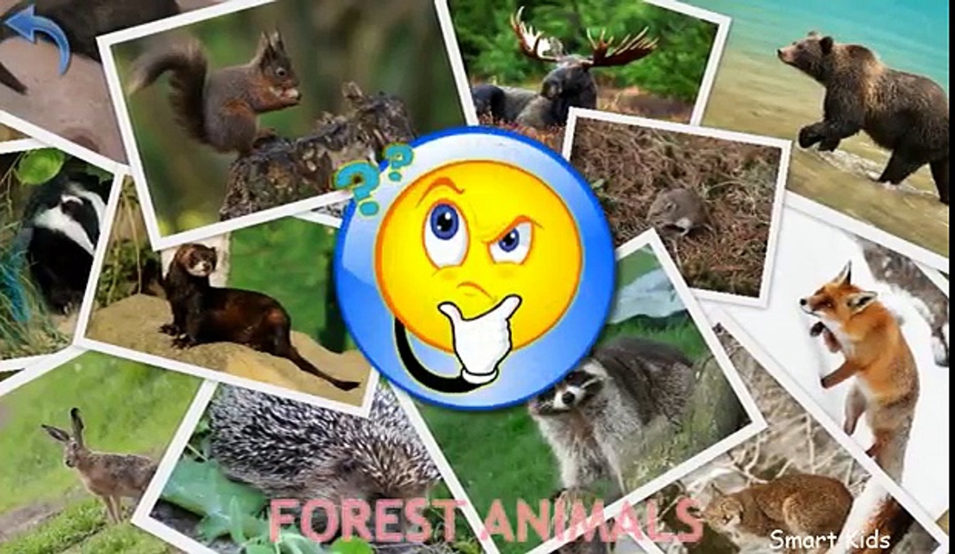 ⁣Animals for Kids   Forest Animals for Kids   Learn Animals   Animals in English