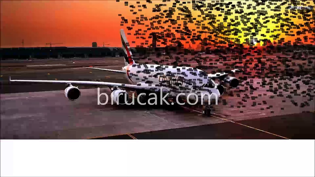 Dünyanın En Büyük 20 Havayolu Şirketi - Birucak.com