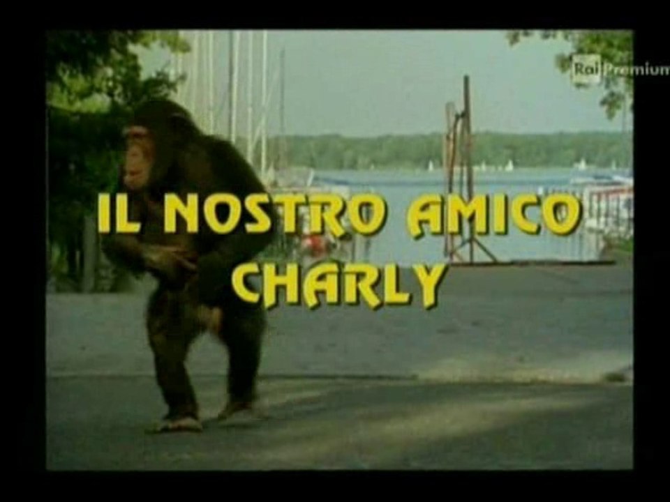Il nostro amico Charly 1x01 - Arriva Charly