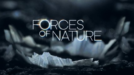 BBC Forces of Nature with Brian Cox 3of4 The Moth and the Flame 2016 HD