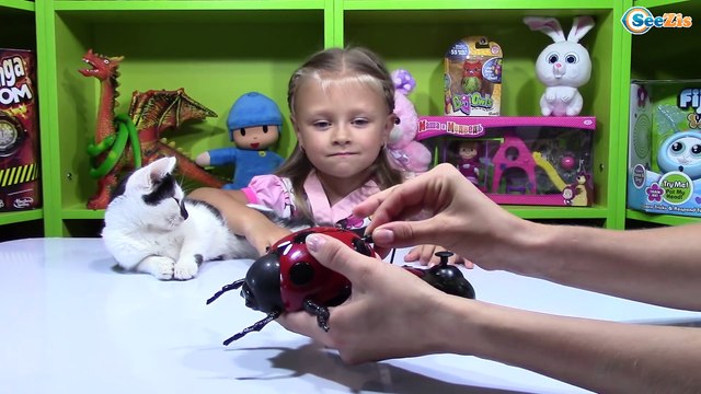 Жук Божья Коровка! Ярослава и Котенок Барсик - Игрушки для детей Unboxing Radio Control Toys
