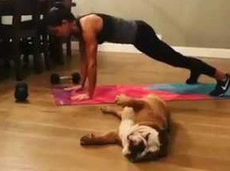 Un chien soutient sa maitresse qui fait son sport à sa façon