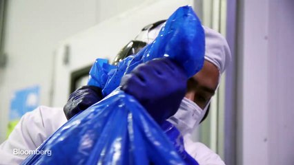 Move Over, Acai. Here Comes the Maqui Berry