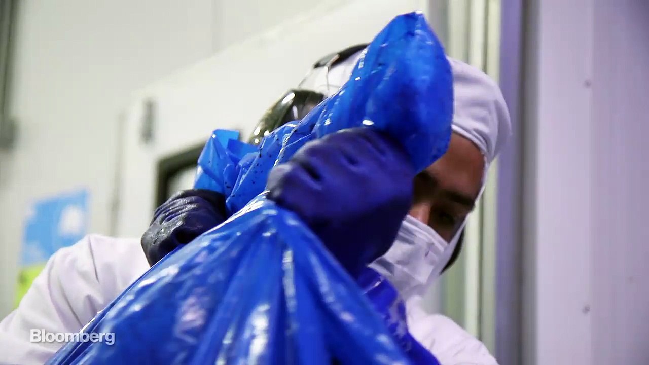 Move Over, Acai. Here Comes the Maqui Berry