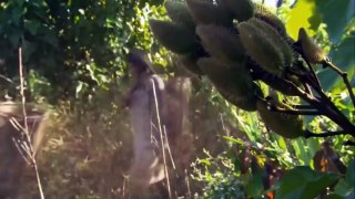 Strange Secrets In the Amazon RainForest  2017 HD