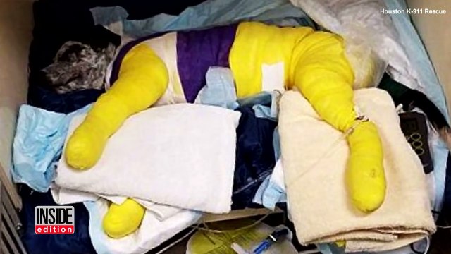 Puppy Wags His Tail In Full Body Cast As He Heals After Being Dragged By Truck-EXYYyEtJJms