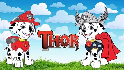 #PawPatrol Marvel Avengers, Marshall, Thor, | Superhero Kids #Animation