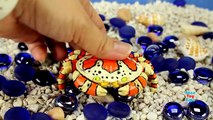 Sea Animals Toys For Children Educational 3D Puzzles - Learning Animals Names For Kids Toddler