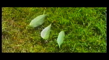 D2 - The Darkness Of The Leafy Field 1 (The Original Movie 1996)