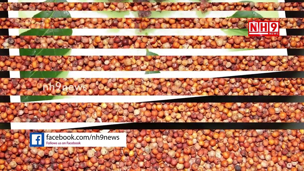 Ragi millets benifts(Telugu)_రాగులు నానబెట్టి మొలకలొచ్చాక ఎండించి పిండి చేసి తింటే..._ NH9 News-r-RFmwx88gc