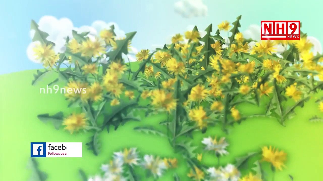 The benefits of Green Tea _ weight loss _ blood pressure _ cancer prevention _ diabetes_ NH9 News-Vl4cCOXYSos