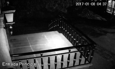 FC Porto divulga video do ato de vandalismo!