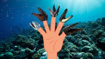 The Finger Family sea monster Dinosaur Rhymes | Sea Animals | Finger Family Songs For Children