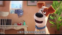 The Secret Life Of Pets - TV-Spot 7-ONbGqZrtag4